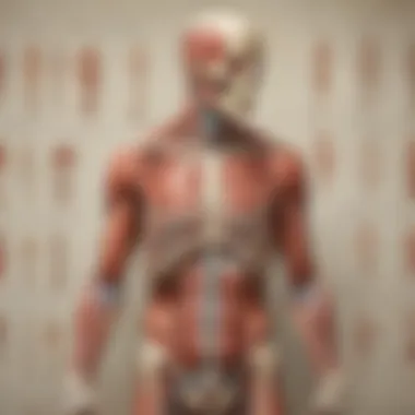 Vibrant Educational Tools Selection of vibrant anatomy posters displayed on a wall
