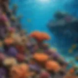 Magnificent underwater coral reef ecosystem