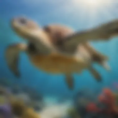 Adorable sea turtle gliding gracefully