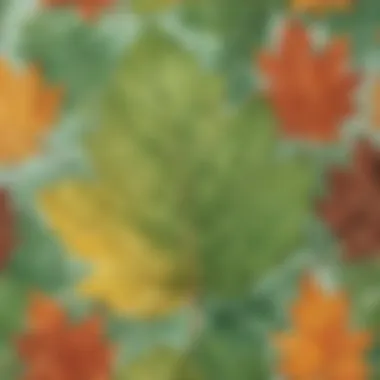 Leaf Rubbing Masterpiece Leaf Rubbing Masterpiece