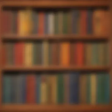 A collection of Pashto literature books displayed on a shelf, representing the diversity of the genre.