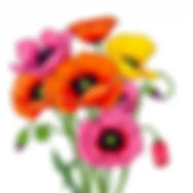 Colorful Poppy Bouquet Colorful poppy bouquet showcasing nature's beauty