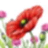 Vibrant poppy flower illustration for coloring