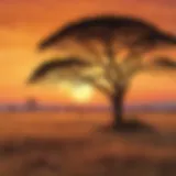 Savanna Sunset: Magnificent hues of nature's palette paint the sky in a breathtaking savanna sunset