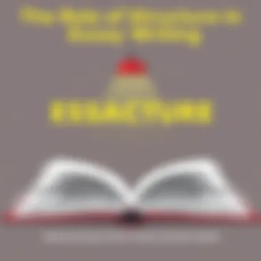 Visual representation of essay structure