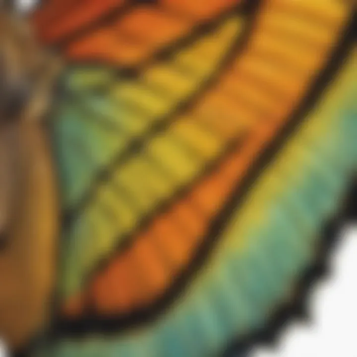 A close-up of butterfly wings, revealing their stunning colors and textures