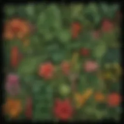 A vibrant collection of tropical rainforest plants showcasing diverse leaf shapes and colors