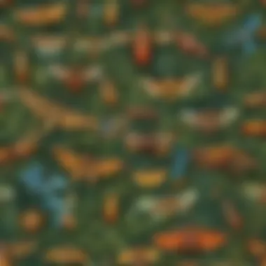 The Fascinating World of Rainforest Insects Intricate insect showcasing vibrant patterns