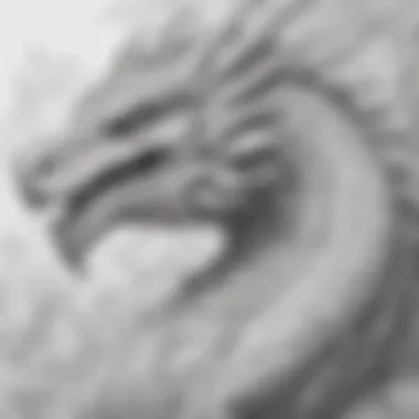 Collection of Dragon Illustrations A collection of colorful dragon illustrations ready for coloring