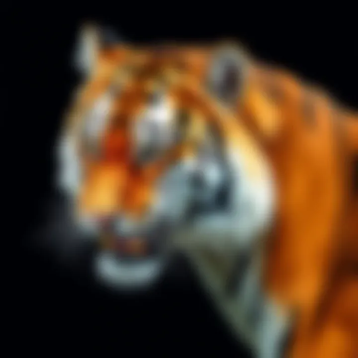 Notable Fascinating Insights into Siberian Tigers