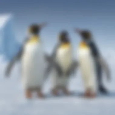 Penguin performing a courtship display on icy terrain