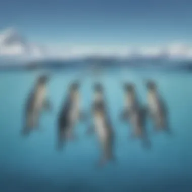 Group of penguins diving elegantly into the crystal-clear waters