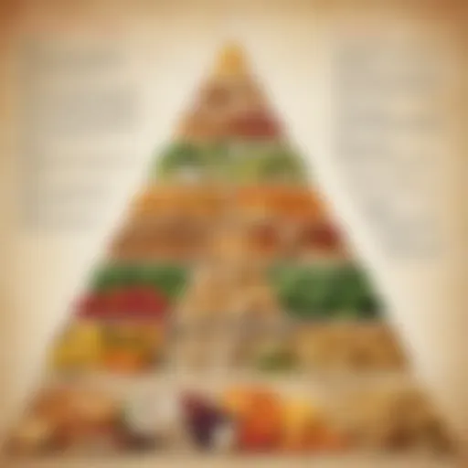 Illustration of the Food Pyramid Structure