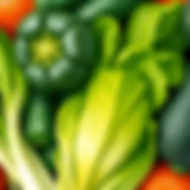 Nutritional Green Goodness Close-up view of fresh green vegetables highlighting their nutritional benefits