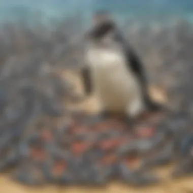 Close-up of Galapagos penguin with freshly caught sardines