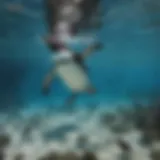 Galapagos penguin hunting for fish in clear waters