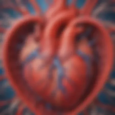 Detailed view of the heart's chambers