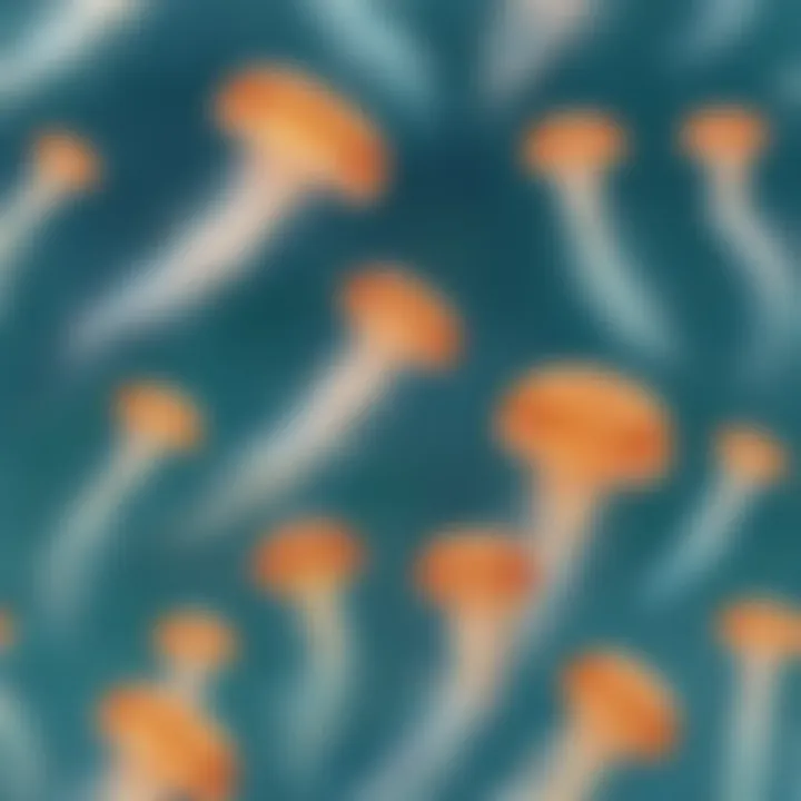 A school of jellyfish floating elegantly in clear waters.