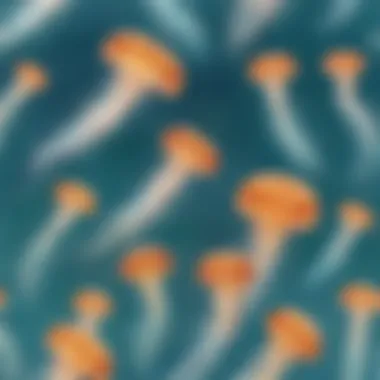 The Ethereal Beauty of Jellyfish A school of jellyfish floating elegantly in clear waters.