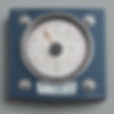 Innovative Weight Estimation Technology