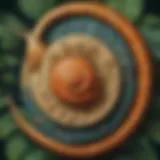 Intricate snail art design