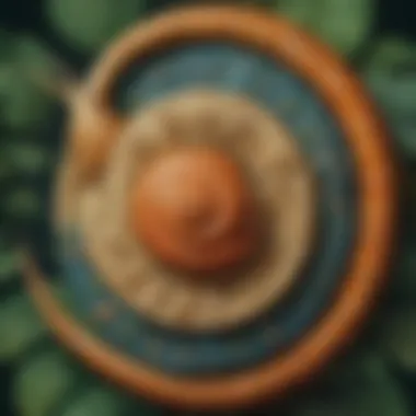 Majestic Spiral Creations Intricate snail art design