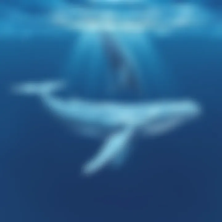 Intriguing Aspects of Blue Whales Summary