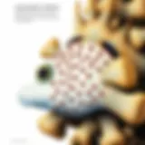 Intriguing Insights into Pufferfish Introduction