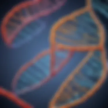 Ligase sealing the newly synthesized DNA strands