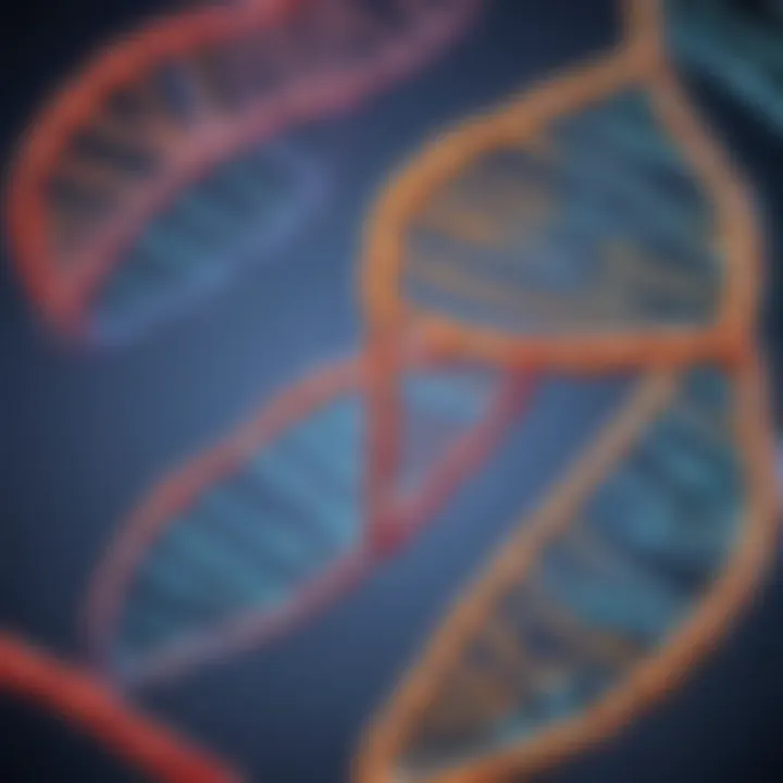 Ligase sealing the newly synthesized DNA strands