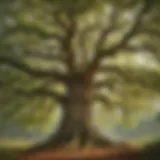 Majestic Oak Tree in Forest
