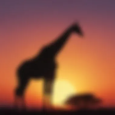 Graceful Giraffe Silhouetted Against the Sunset