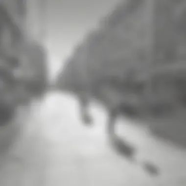 Digital animation process showcasing movement study