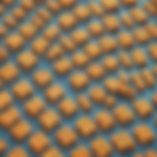 Illustration showing the concept of multiplying fractions by whole numbers