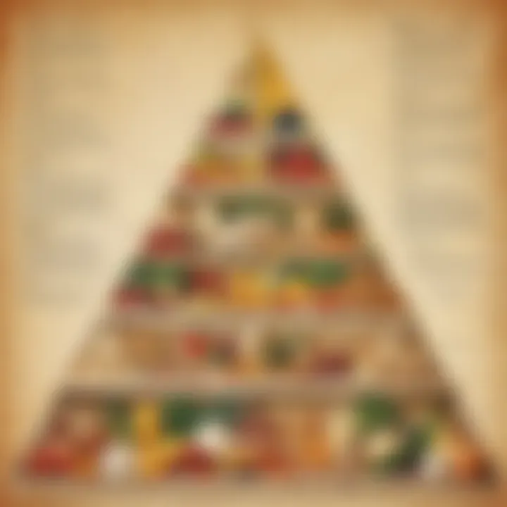 Nutritional Groups represented in the Food Pyramid