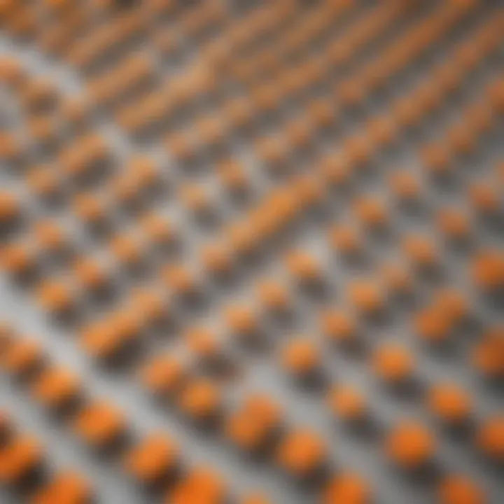 Interactive Seating Plan Visualization