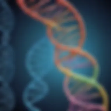 Proofreading by DNA polymerase to ensure accuracy