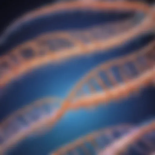 Protein Synthesis Cascade