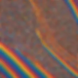 Vibrant spectrum of colors symbolizing diversity