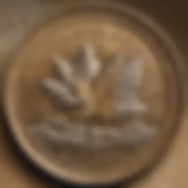 Unveiling a Rare Gem: Canadian Coin Treasure Rare Canadian Coin Discovery