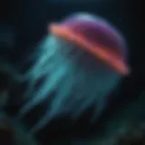 A rare deep-sea creature showcasing bioluminescent features
