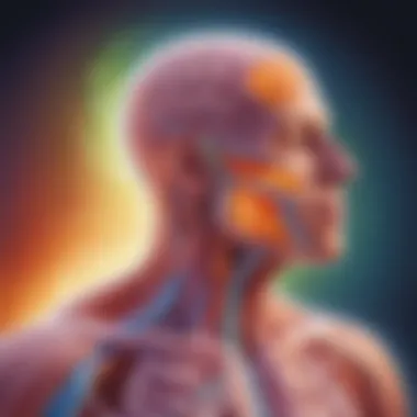 Artistic representation of energy conversion in the respiration process