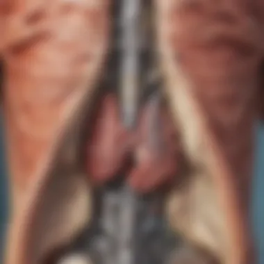 Respiratory System: The Engine of Vitality Visual metaphor showcasing the respiratory system as a powerhouse of vitality
