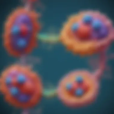 Unveiling Ribosome Dynamics in Protein Synthesis Ribosome Interaction