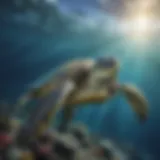 Majestic Sea Turtle Gliding Through Ocean Depth