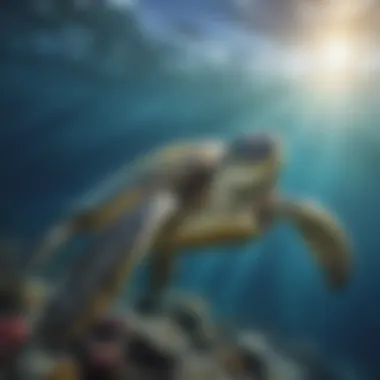 Majestic Sea Turtle Gliding Through Ocean Depth Majestic Sea Turtle Gliding Through Ocean Depth