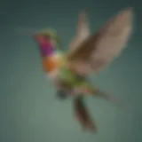 Majestic Hummingbird in Flight