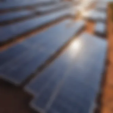 Solar Panels Harnessing Renewable Energy