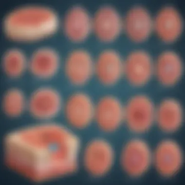 Innovative Treatments for Squamous Cell Carcinoma Illustration showcasing various treatment modalities for squamous cell carcinoma