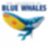 The Color of Blue Whales Introduction